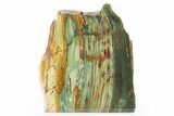 Gary Green Jasper (Larsonite) Bog Wood Slab - Oregon #302905-2